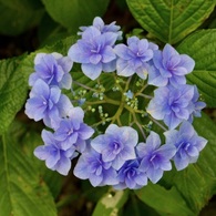P1090286