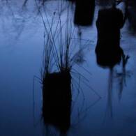 Silence