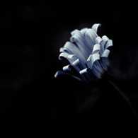 朧