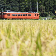 田んぼと踏切