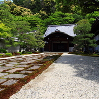 特別な通り道