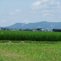 田園