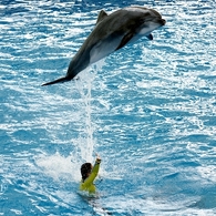 002DSC00918