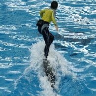 004DSC00937