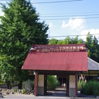 道光寺山門と銀杏の木