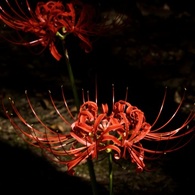 P1090766