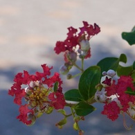 P1090711
