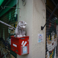 パノラマ：PENTAX
