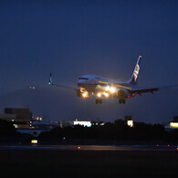 ｎｉｇｈｔ　ｌａｎｄｉｎｇ