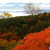 紅葉と雲海と