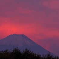 紅い富士山_20231019