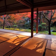 慈恩禅寺　てっ草園