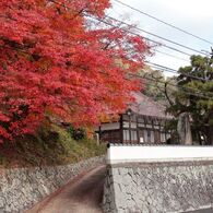 秋の尾関山公園とその周辺散歩