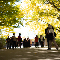 autumn for tokyoites 2023
