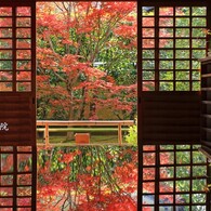 秋の散歩道(大徳寺)