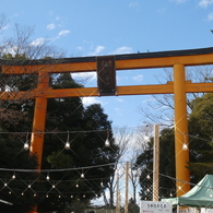川越氷川神社大鳥居