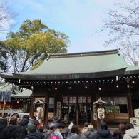 令和６年初詣(川越氷川神社)