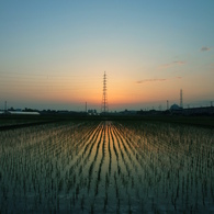 夜明け3