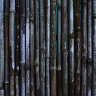 DSCF4787