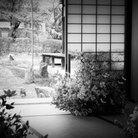 京都 光明院