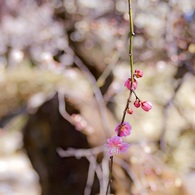 P1120999