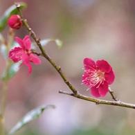P1120984