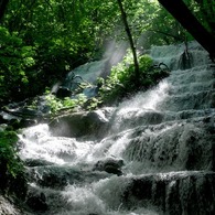 水に恵まれて