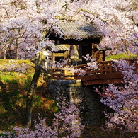 問屋門高遠(2007/4-Ⅳ）