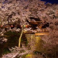夜の問屋門高遠（2007/4-Ⅴ）