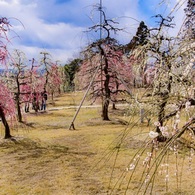P1130491