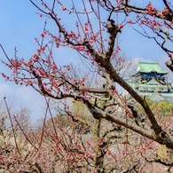 P1130654