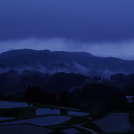 Morning mist