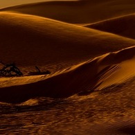 SANDS OF TIME