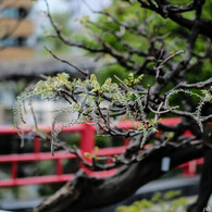 4月12日 天神通信