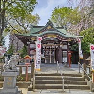 花盛りの川越八幡宮
