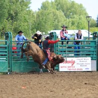 FARMER'S DAY / BULL RIDING
