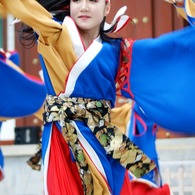 花柳-10