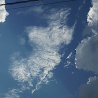 P1000266
