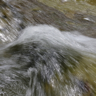 養老川の流れ(3)