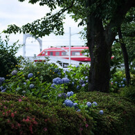 旅に焦がれて：50ｍｍ