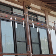 観音寺の紫陽花