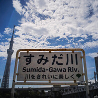 早すぎる中休み