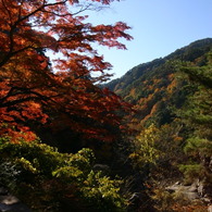 昇仙峡紅葉