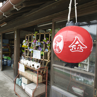 葉山　森戸海岸