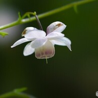 赤城自然園～③