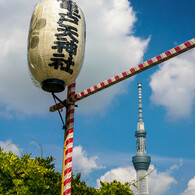 祭り日和