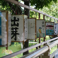 ともし火恋しく