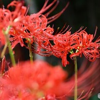 その３日後は雨でした。