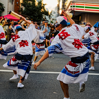 Vibrant Dancer #17