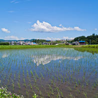 田園